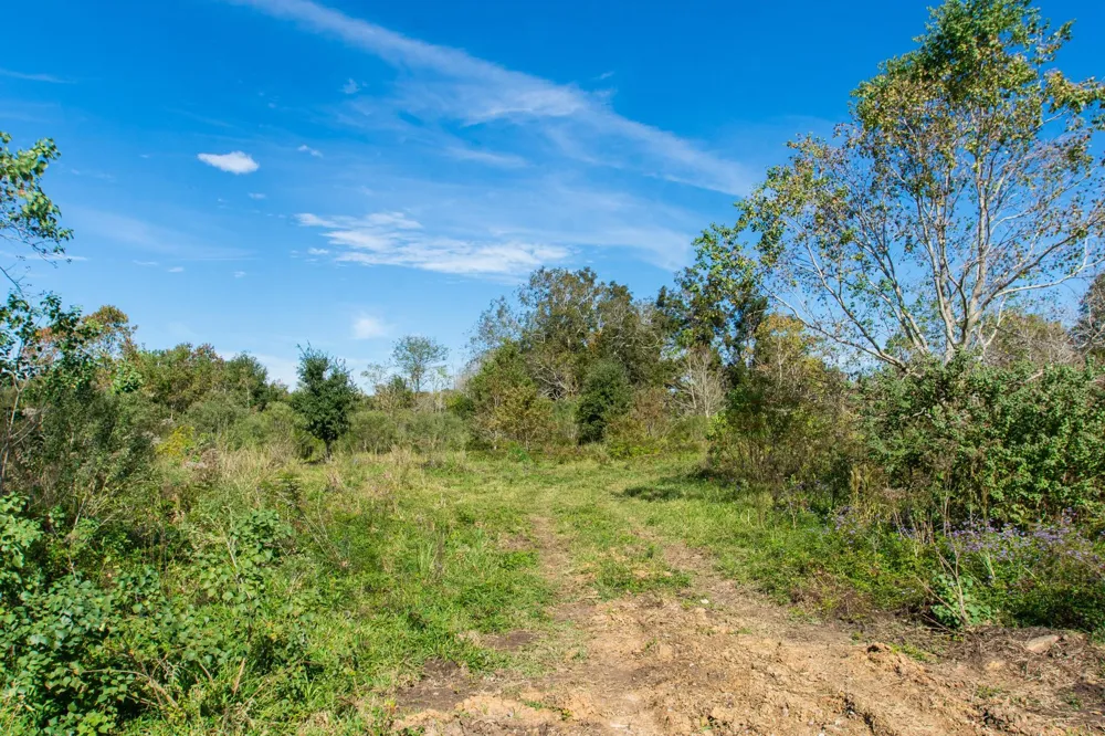 Highway 36 Jones Creek, TX 77541