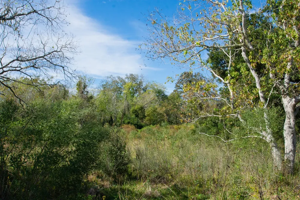 Highway 36 Jones Creek, TX 77541