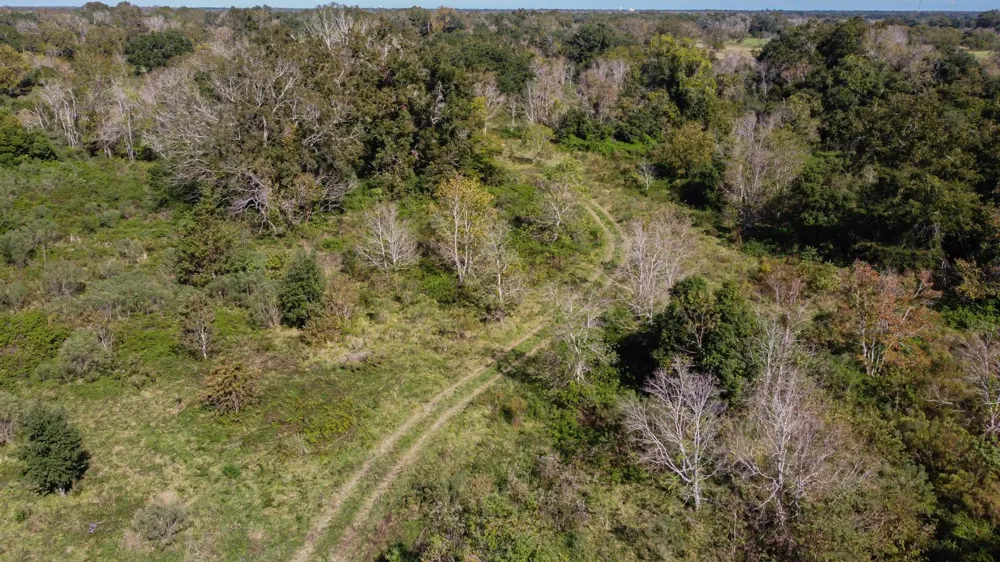 Highway 36 Jones Creek, TX 77541