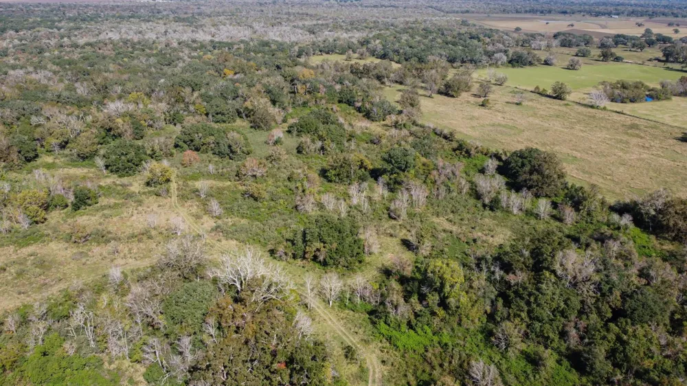 Highway 36 Jones Creek, TX 77541