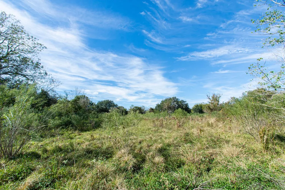 Highway 36 Jones Creek, TX 77541