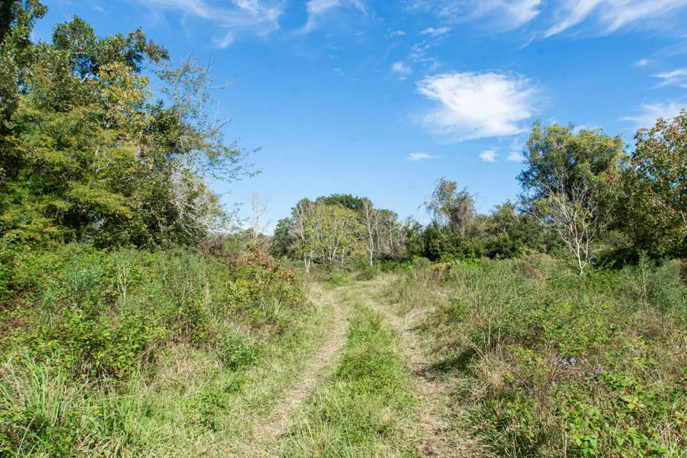Highway 36 Jones Creek, TX 77541