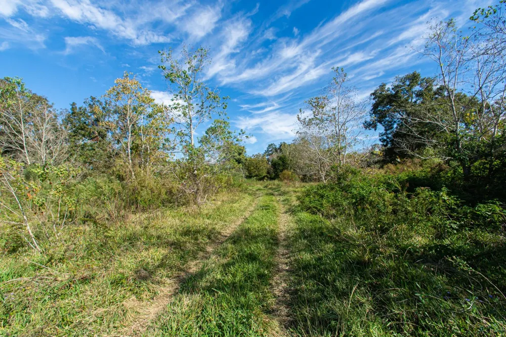 Highway 36 Jones Creek, TX 77541