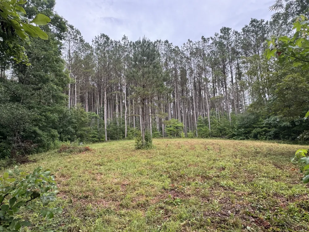 0 Johnson Hollow Rd Stewart, TN 37175