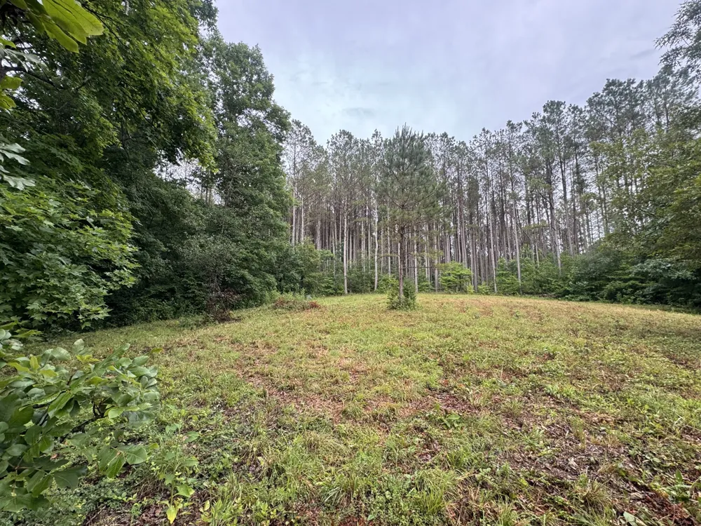 0 Johnson Hollow Rd Stewart, TN 37175