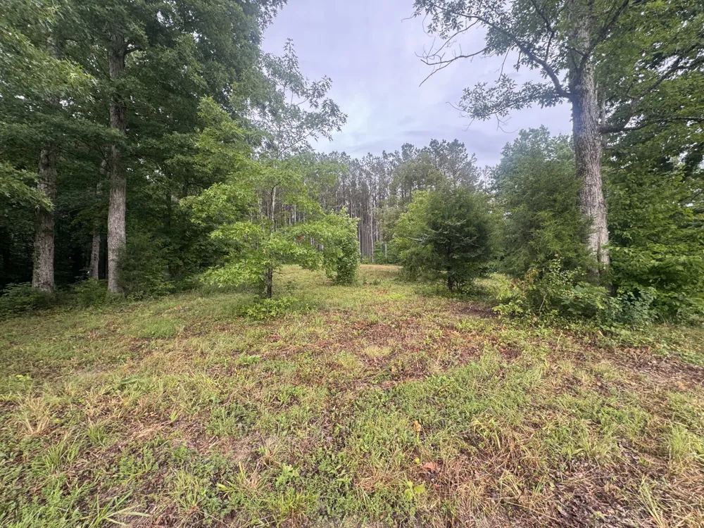 0 Johnson Hollow Rd Stewart, TN 37175