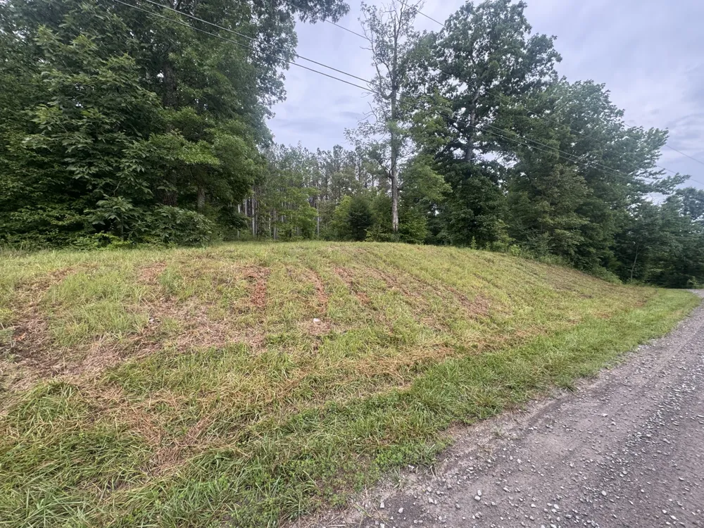 0 Johnson Hollow Rd Stewart, TN 37175