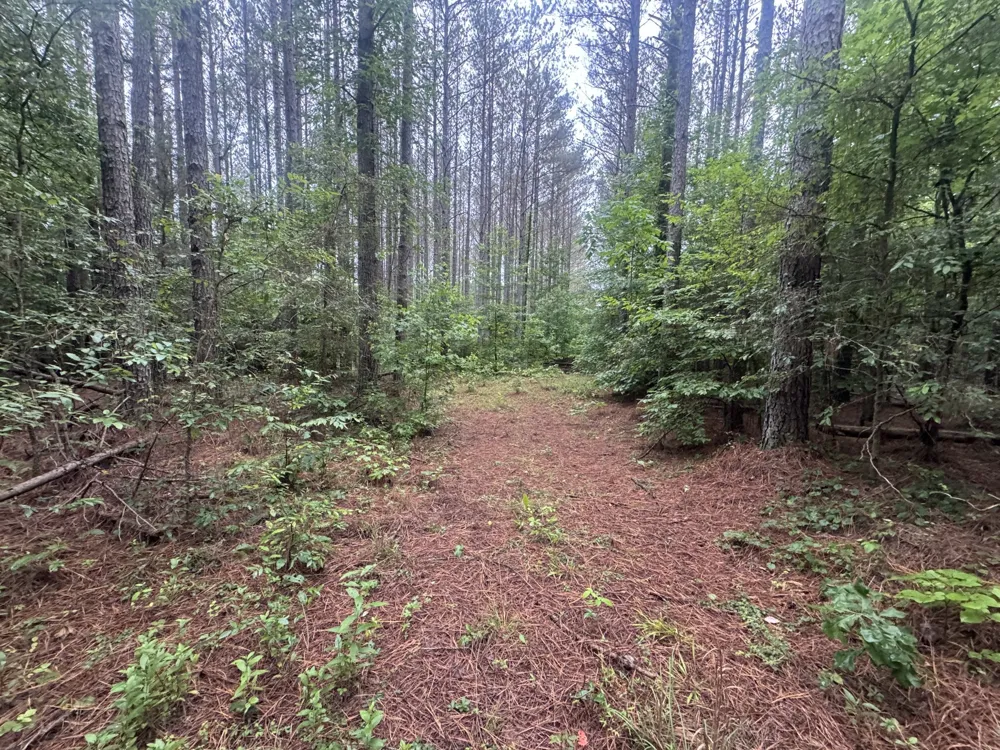 0 Johnson Hollow Rd Stewart, TN 37175