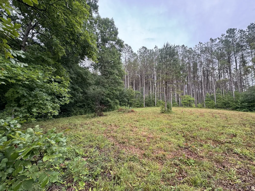0 Johnson Hollow Rd Stewart, TN 37175