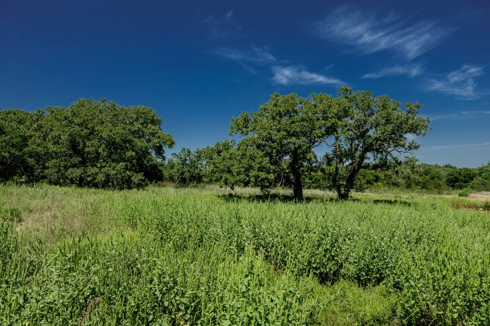 1 W Pleasant Valley Road Henrietta, TX 76230