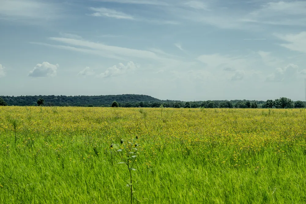 1 W Pleasant Valley Road Henrietta, TX 76230
