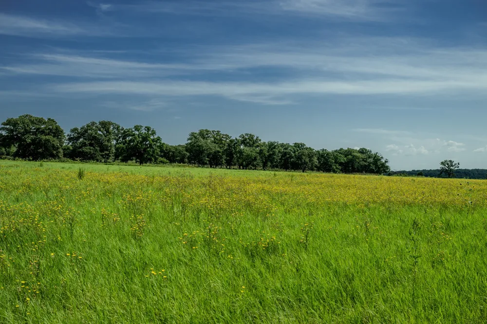 1 W Pleasant Valley Road Henrietta, TX 76230