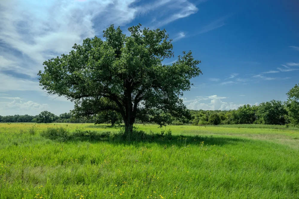 1 W Pleasant Valley Road Henrietta, TX 76230