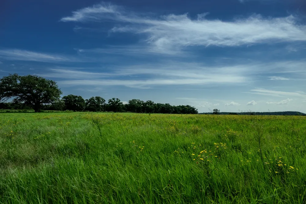 1 W Pleasant Valley Road Henrietta, TX 76230