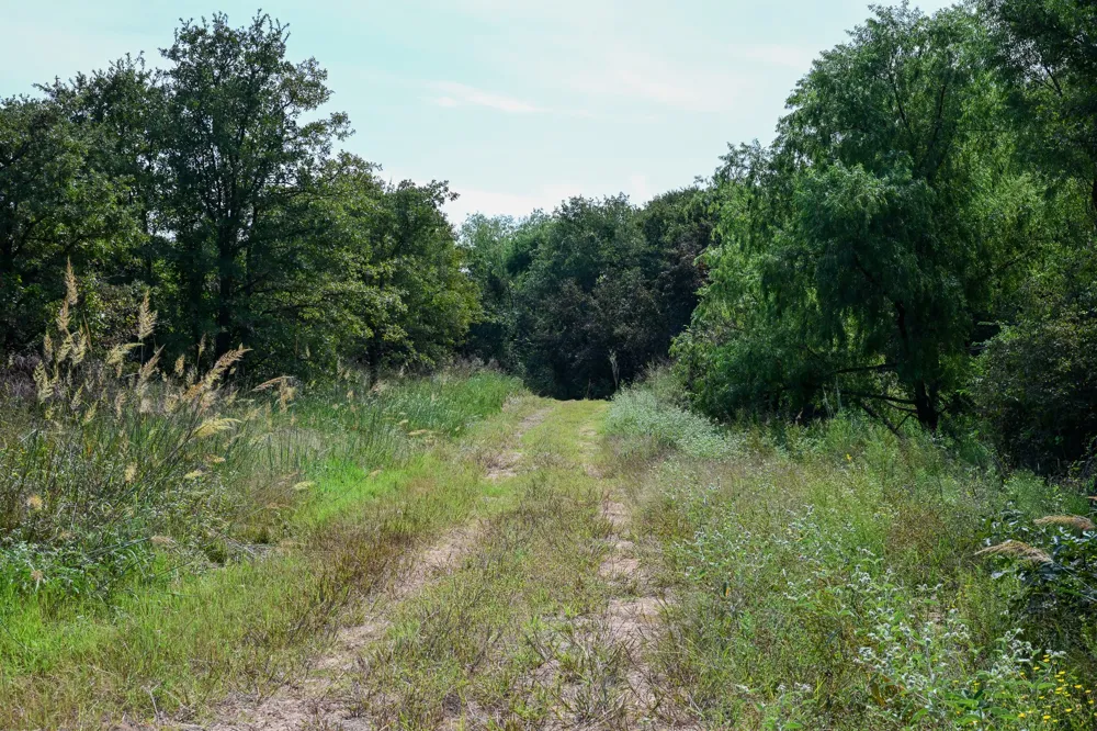 1 W Pleasant Valley Road Henrietta, TX 76230