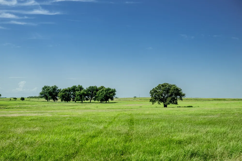 1 W Pleasant Valley Road Henrietta, TX 76230