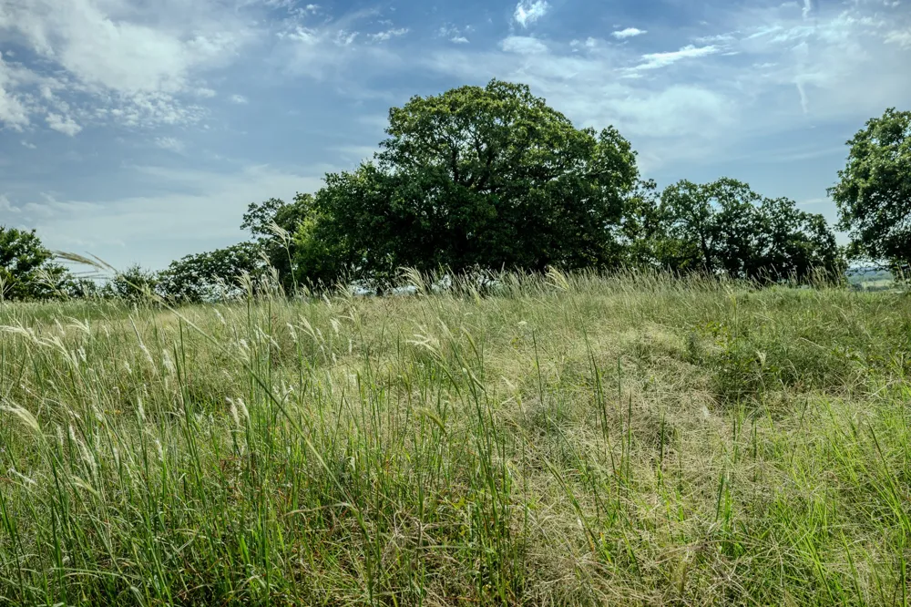 1 W Pleasant Valley Road Henrietta, TX 76230