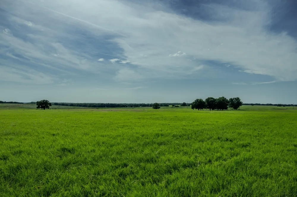 1 W Pleasant Valley Road Henrietta, TX 76230
