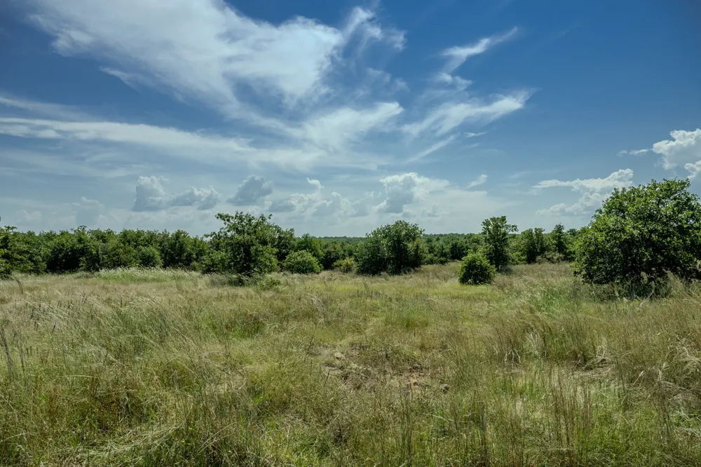 1 W Pleasant Valley Road Henrietta, TX 76230