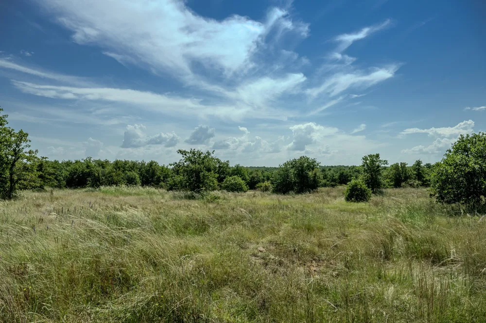 1 W Pleasant Valley Road Henrietta, TX 76230