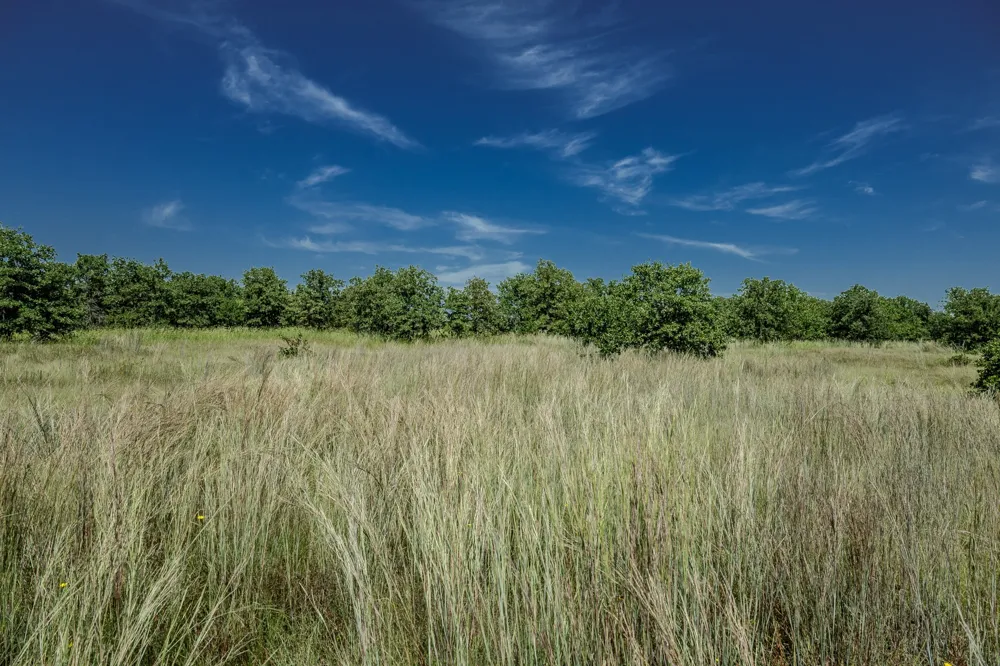1 W Pleasant Valley Road Henrietta, TX 76230