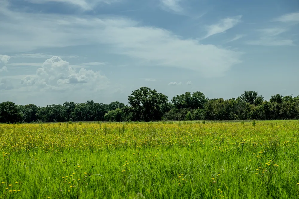 1 W Pleasant Valley Road Henrietta, TX 76230