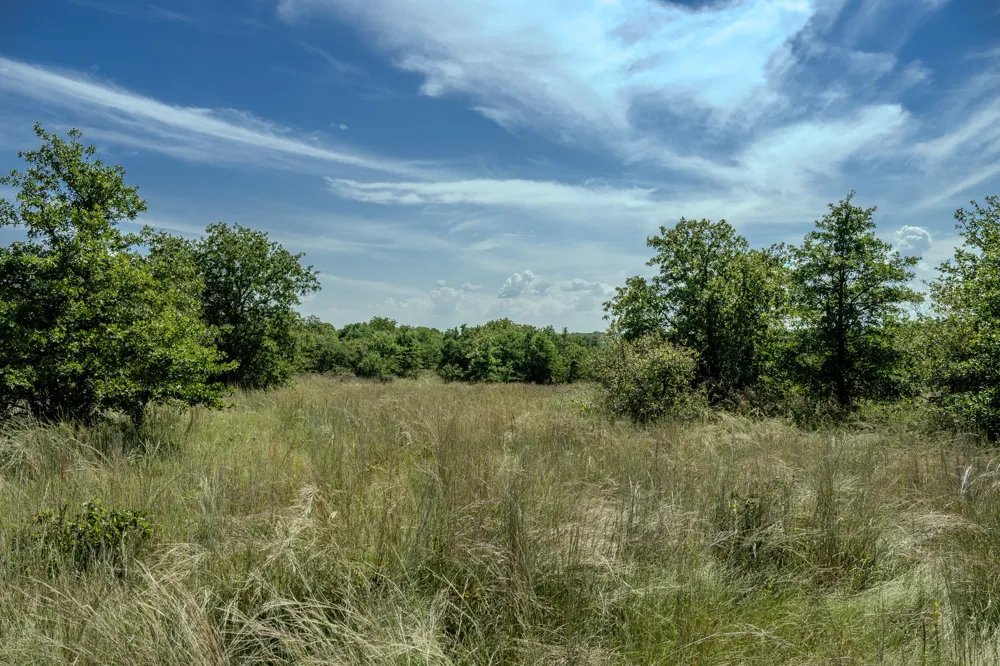 1 W Pleasant Valley Road Henrietta, TX 76230
