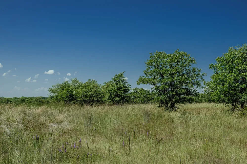 1 W Pleasant Valley Road Henrietta, TX 76230