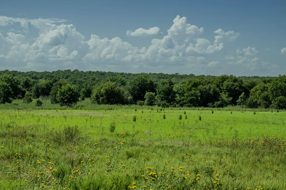 1 W Pleasant Valley Road Henrietta, TX 76230