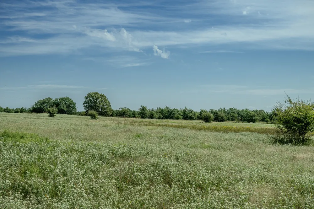 1 W Pleasant Valley Road Henrietta, TX 76230