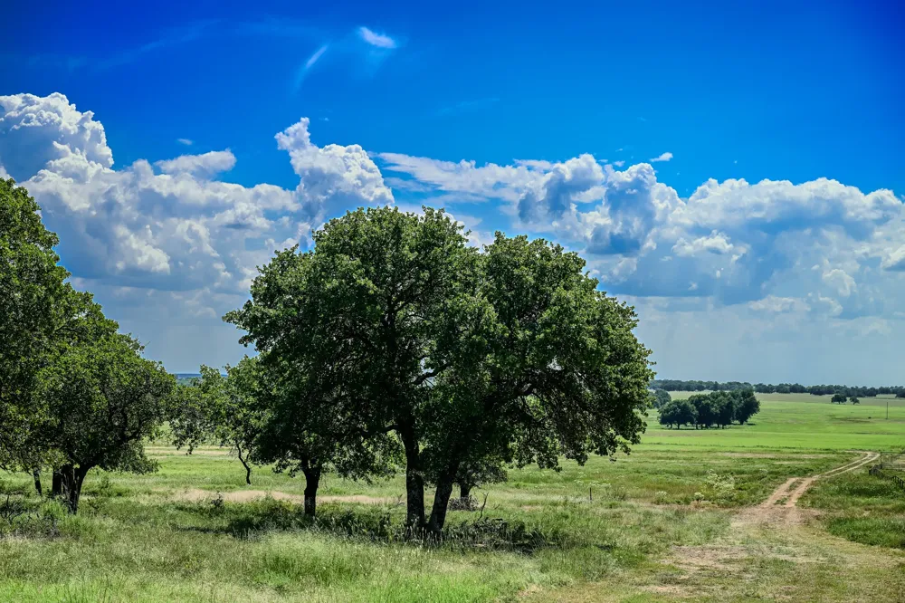 1 W Pleasant Valley Road Henrietta, TX 76230