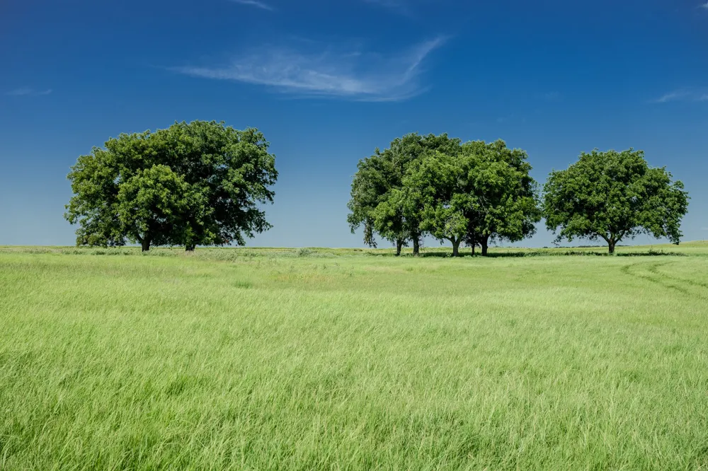 1 W Pleasant Valley Road Henrietta, TX 76230