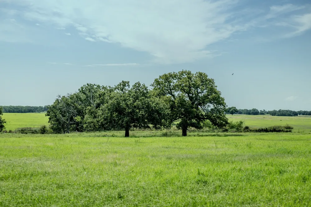 1 W Pleasant Valley Road Henrietta, TX 76230