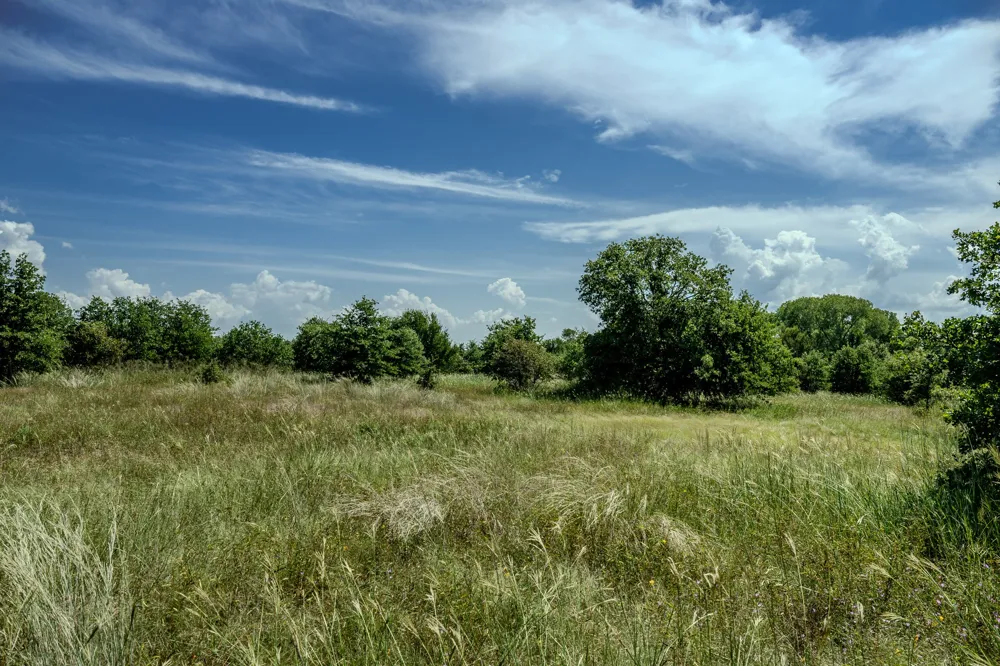 1 W Pleasant Valley Road Henrietta, TX 76230