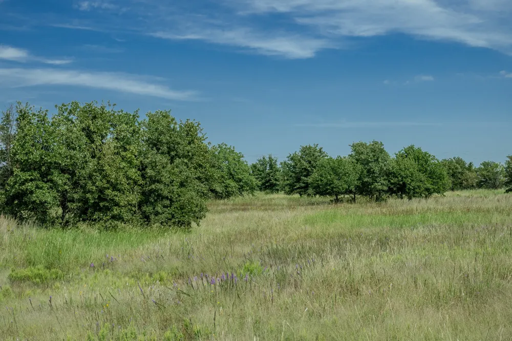 1 W Pleasant Valley Road Henrietta, TX 76230