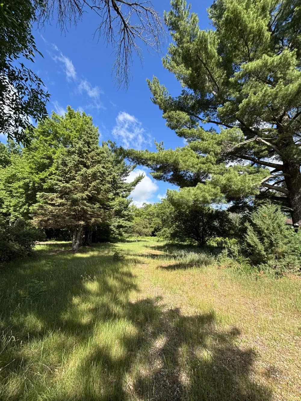 39088 8th Avenue North Branch, MN 55056