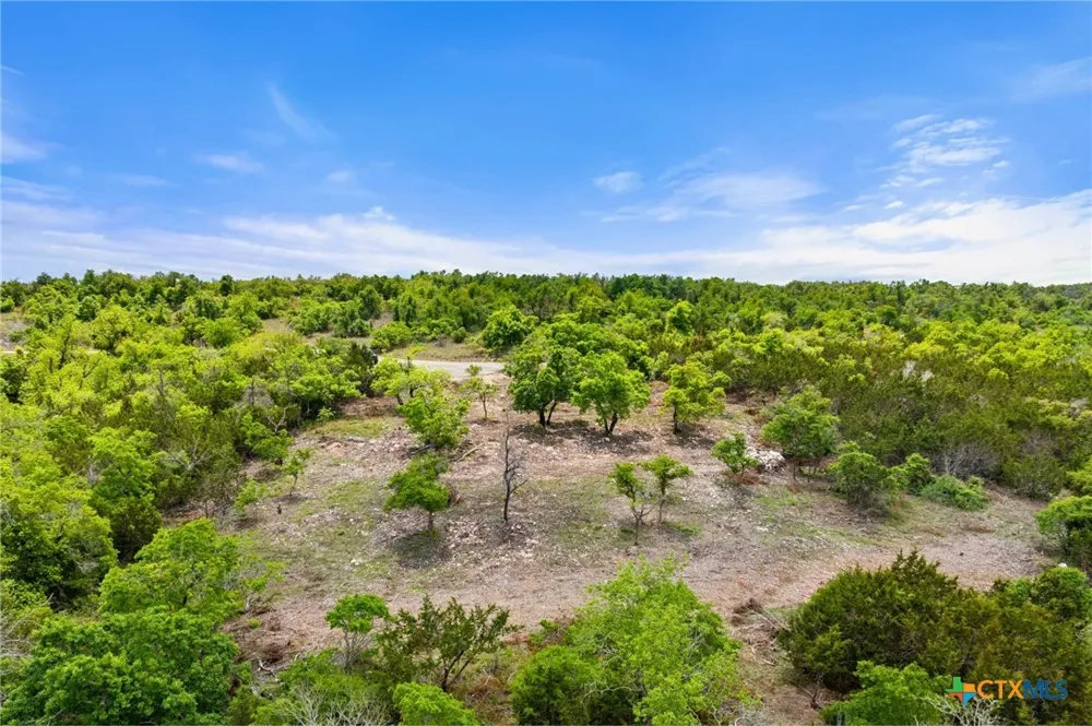 408 Osage Way Johnson City, TX 78636