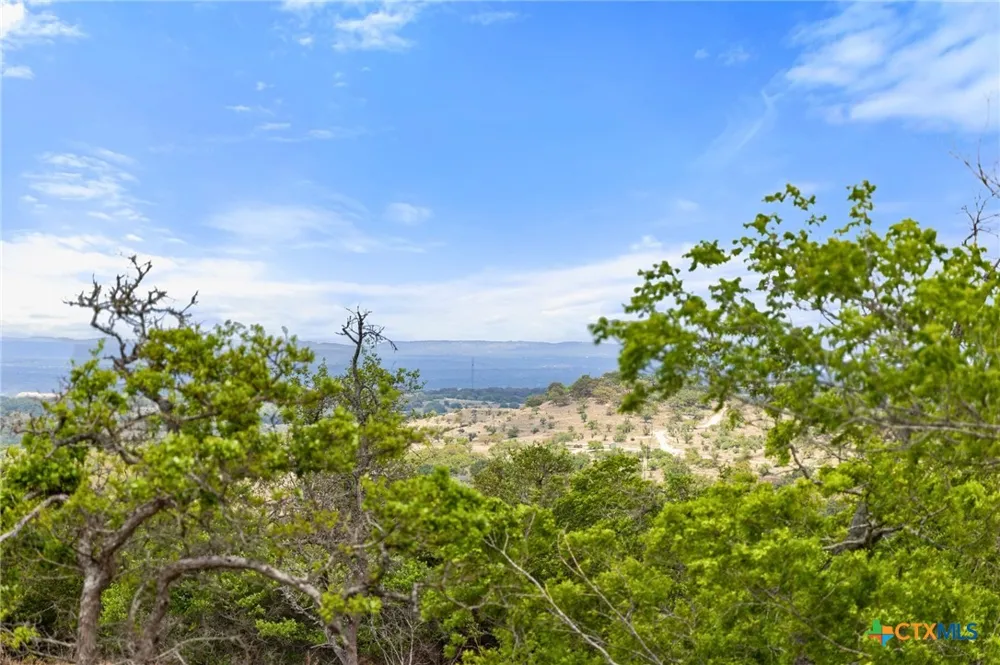 408 Osage Way Johnson City, TX 78636