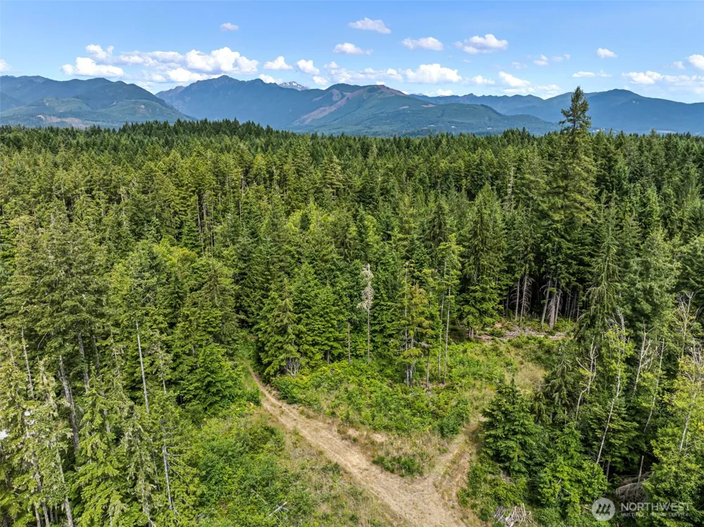 1 Andy Rogers Place NW Seabeck, WA 98380