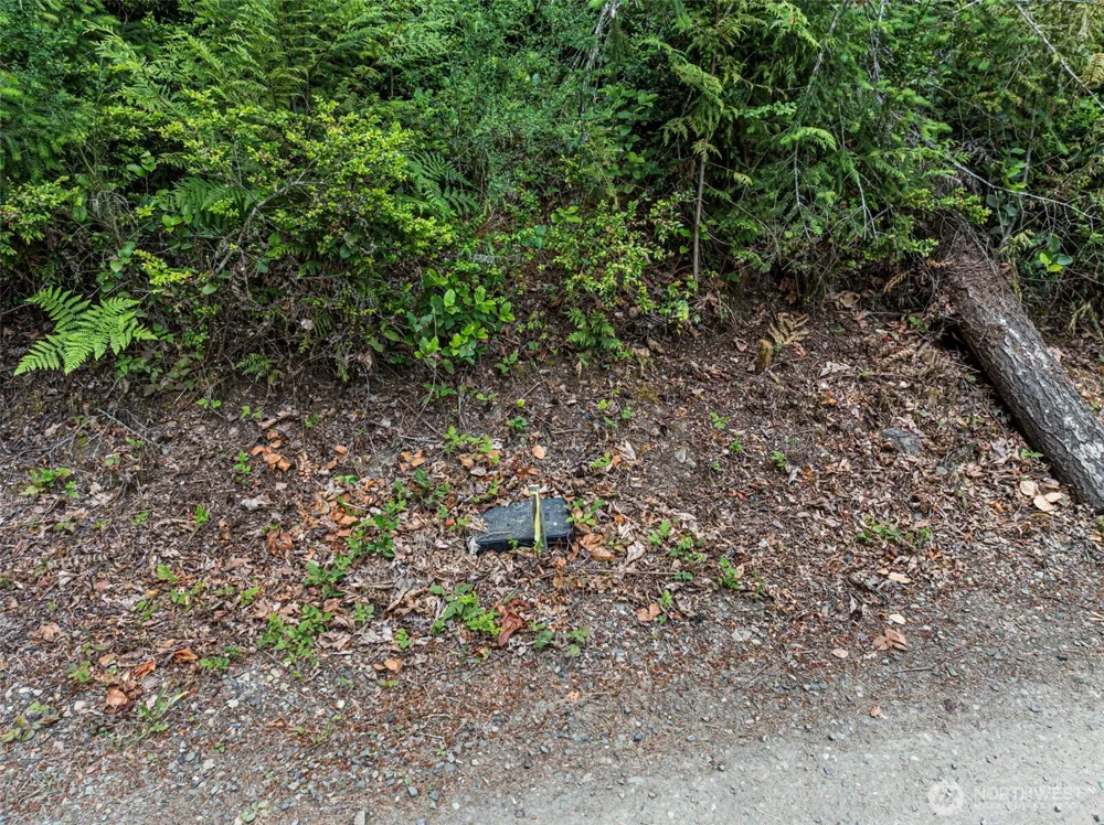 1 Andy Rogers Place NW Seabeck, WA 98380