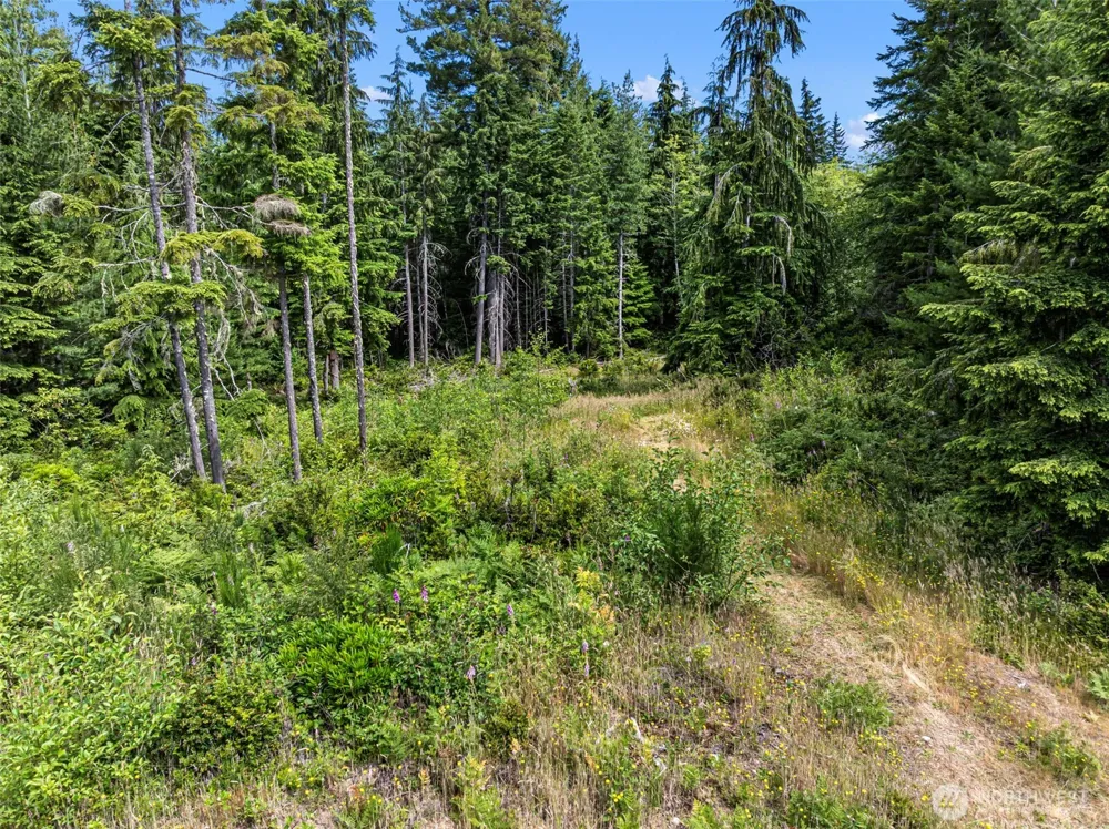 1 Andy Rogers Place NW Seabeck, WA 98380