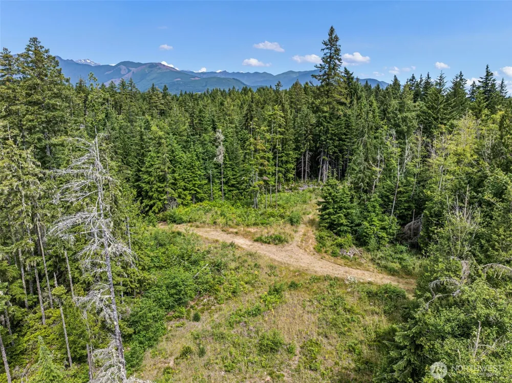 1 Andy Rogers Place NW Seabeck, WA 98380