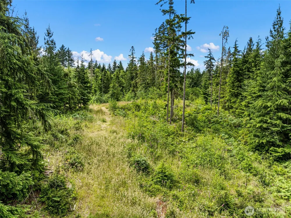 1 Andy Rogers Place NW Seabeck, WA 98380