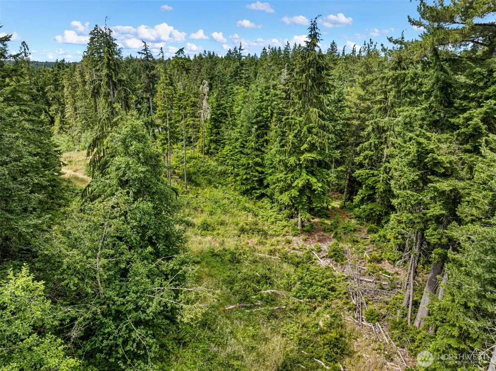 1 Andy Rogers Place NW Seabeck, WA 98380