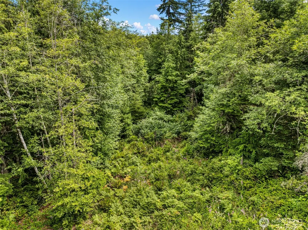 1 Andy Rogers Place NW Seabeck, WA 98380