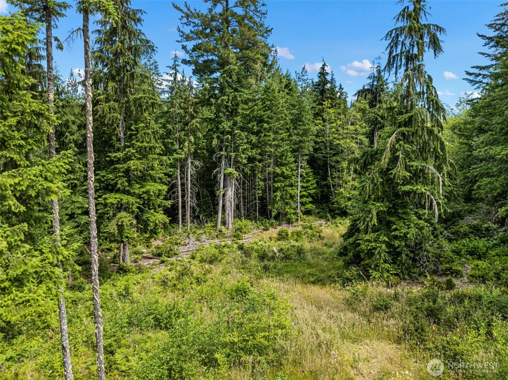 1 Andy Rogers Place NW Seabeck, WA 98380