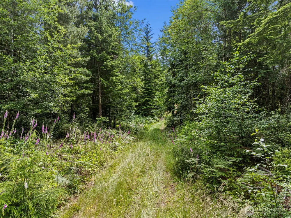 1 Andy Rogers Place NW Seabeck, WA 98380