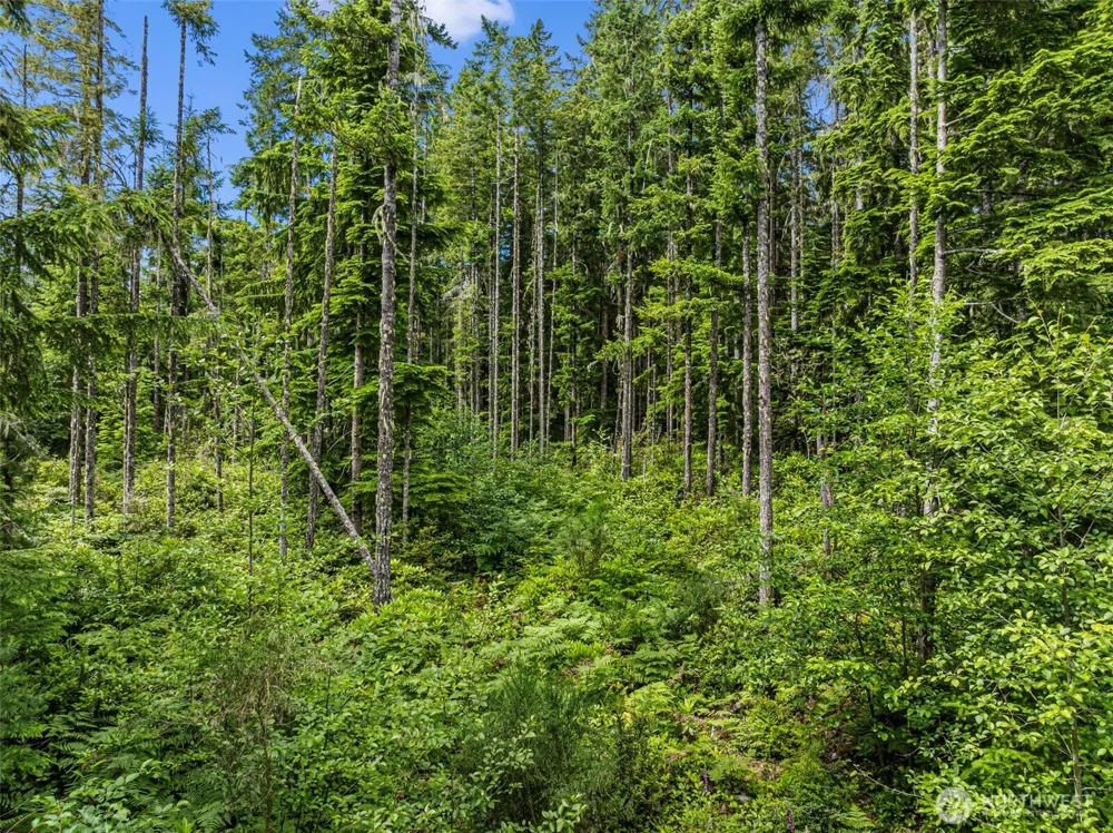 1 Andy Rogers Place NW Seabeck, WA 98380