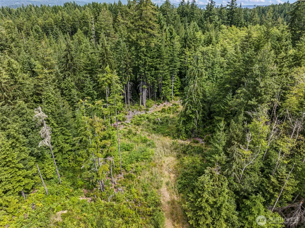 1 Andy Rogers Place NW Seabeck, WA 98380