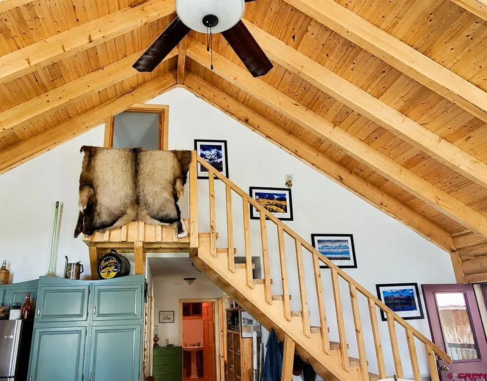 427 Conejos Ave Antonito, CO 81120